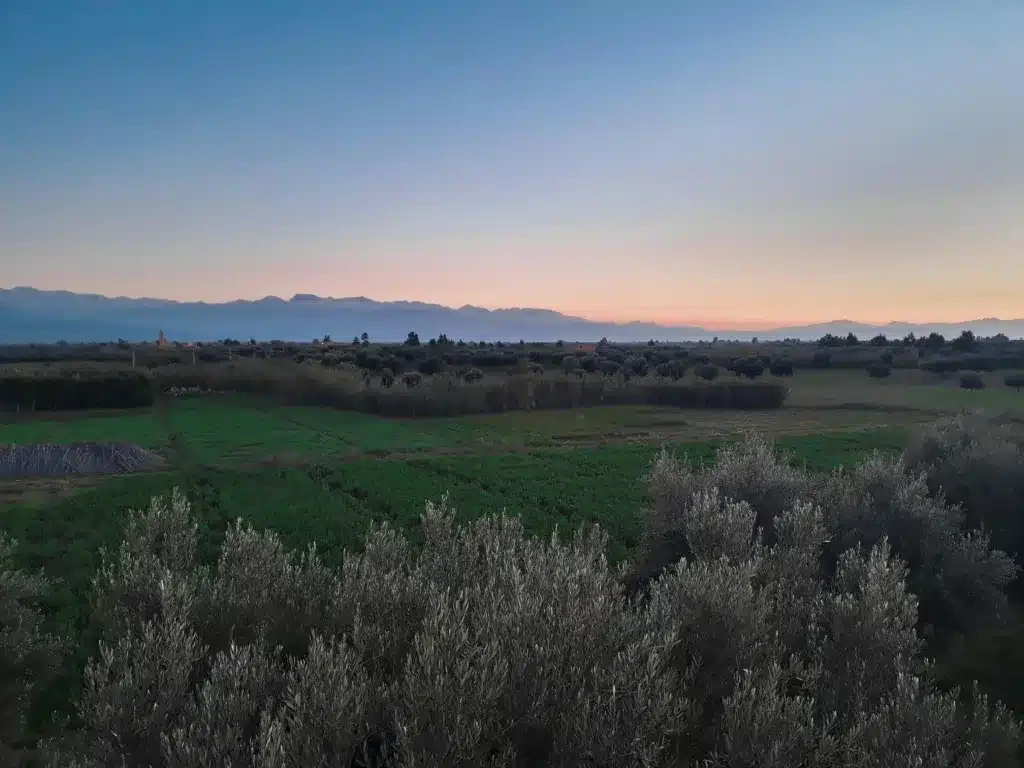 Surveyed agricultural fields and rural property in Morocco