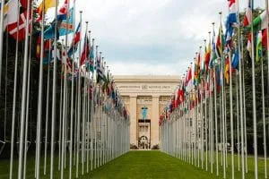 Walkway lined with national flags leading to an institutional building