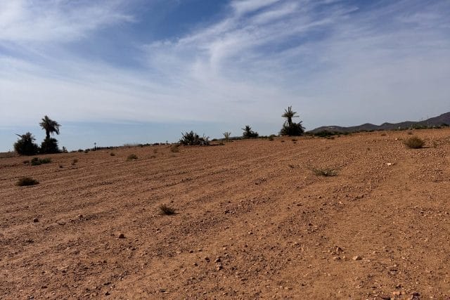 11,600 m² Residential Development Land near Dar Lamia - 2