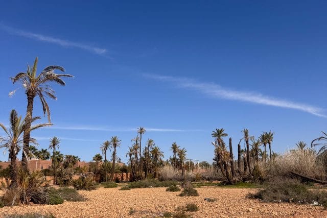 11,600 m² Residential Development Land near Dar Lamia - 3