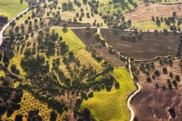 Aerial view of agricultural land in Morocco showing diverse plots of green and brown fields with scattered trees, winding dirt roads, and varied vegetation patterns under soft daylight.